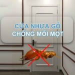KHẢ NĂNG CHỐNG MỐI MỌT CỦA CỬA COMPOSITE