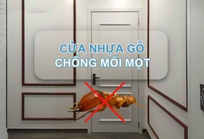 KHẢ NĂNG CHỐNG MỐI MỌT CỦA CỬA COMPOSITE