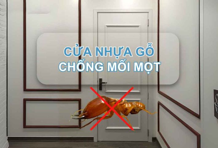 KHẢ NĂNG CHỐNG MỐI MỌT CỦA CỬA COMPOSITE